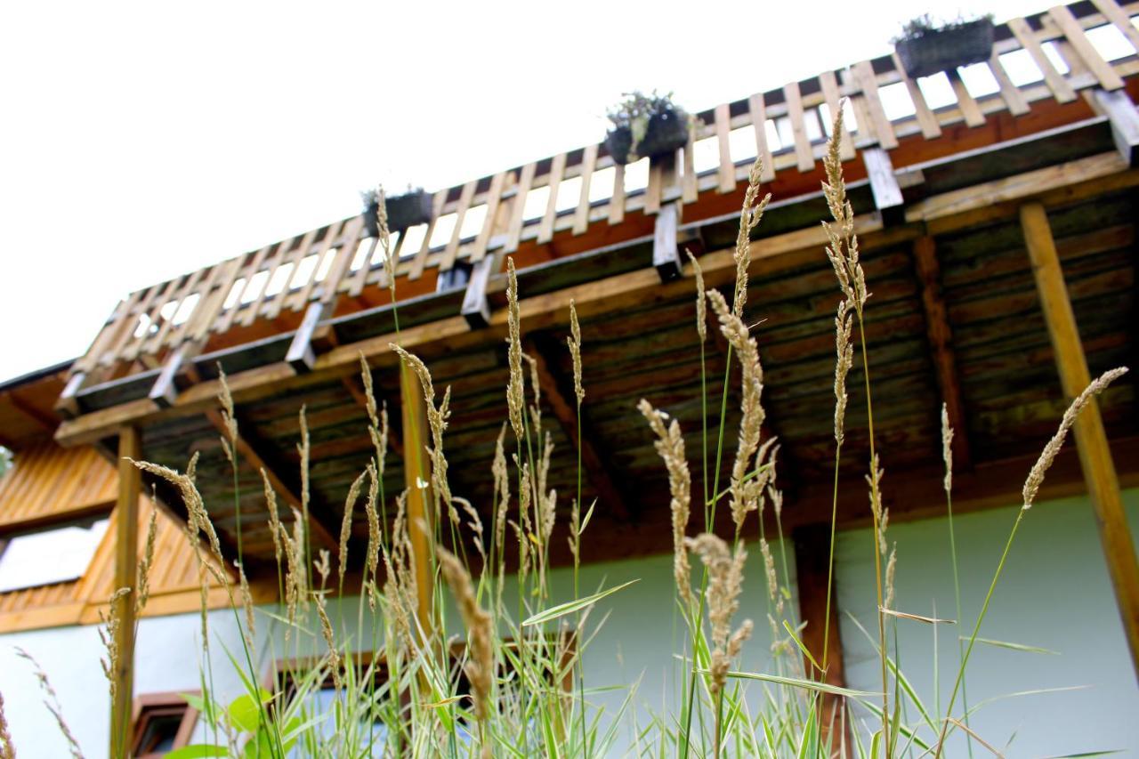 Ve Stodole Villa Zlata Olesnice  Ngoại thất bức ảnh